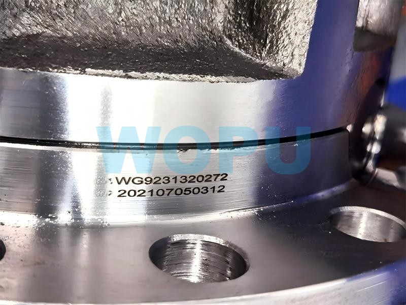 Ensemble de différentiel AZ9231320272 pour pièces détachées de camions SINOTRUK HOWO