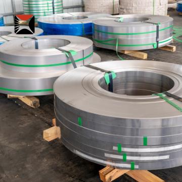 310 Stainless Strip