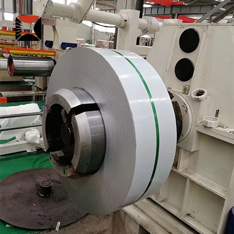 309 Stainless Strip