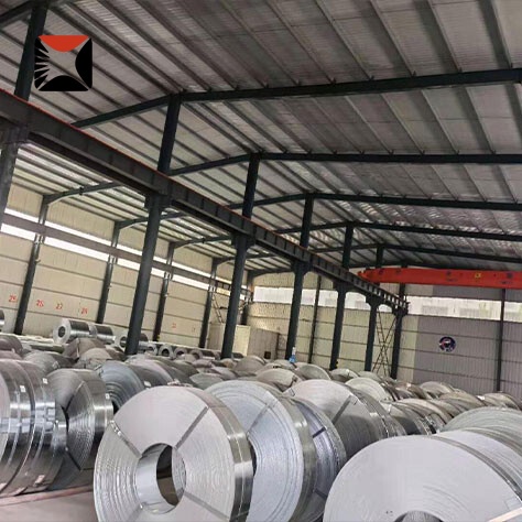 Stainless Strip