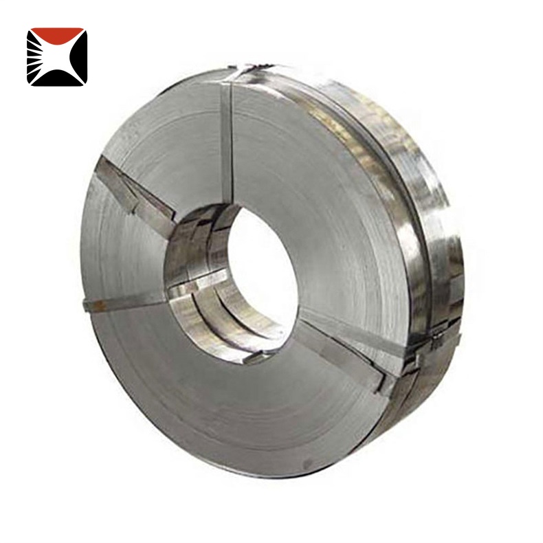 310 Stainless Strip