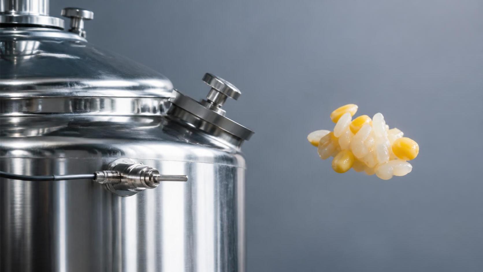 De la malta al mercado: cómo las fábricas de cerveza lager fuerte optimizan el uso de adjuntos sin comprometer la claridad del sabor De la malta al mercado: cómo las fábricas de cerveza lager fuerte optimizan el uso de adjuntos sin comprometer la claridad del sabor