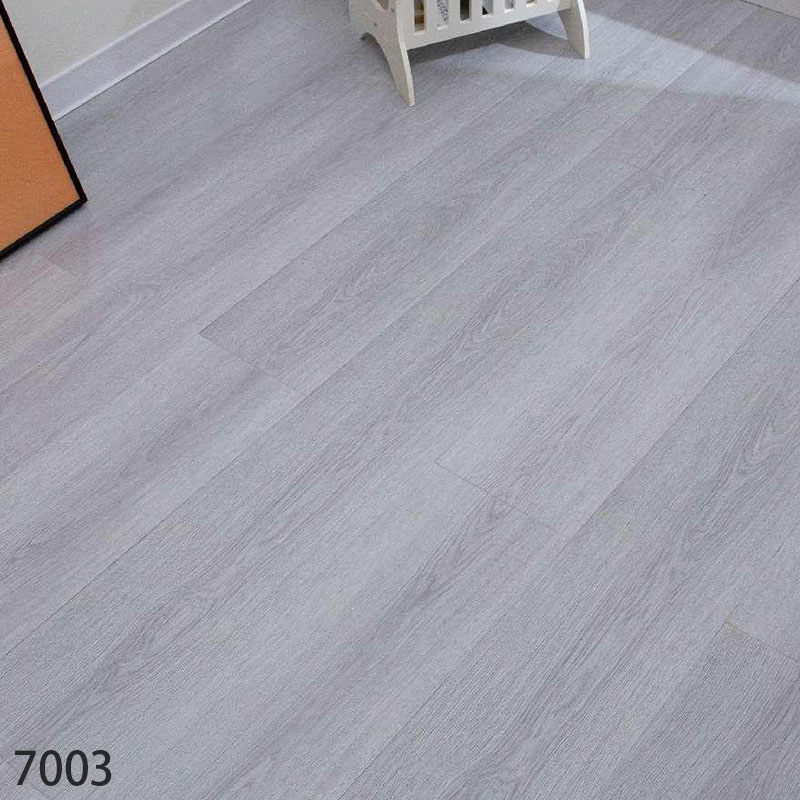 7003