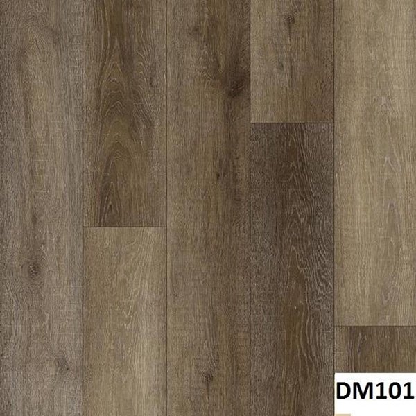 DM101