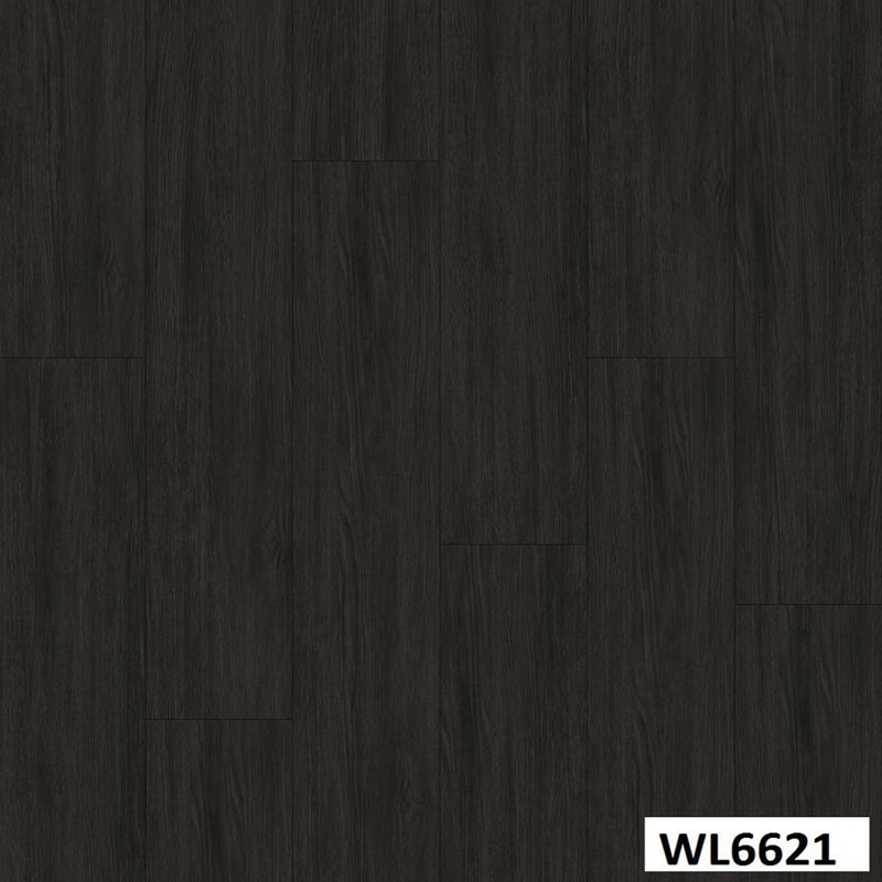 WL6621