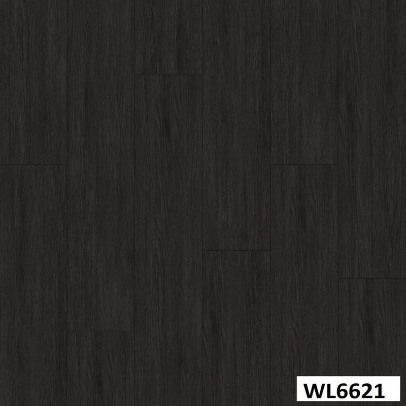 WL6621