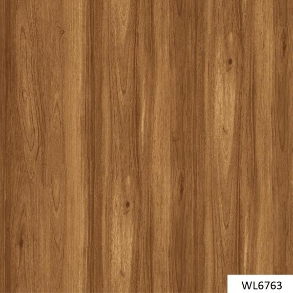 WL6763