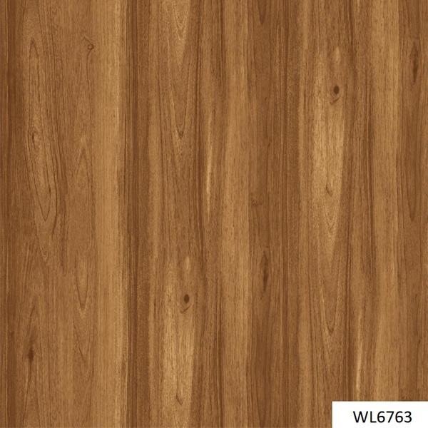 WL6763
