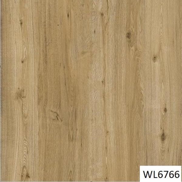 WL6766