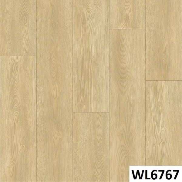 WL6767