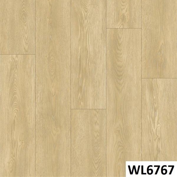 WL6767