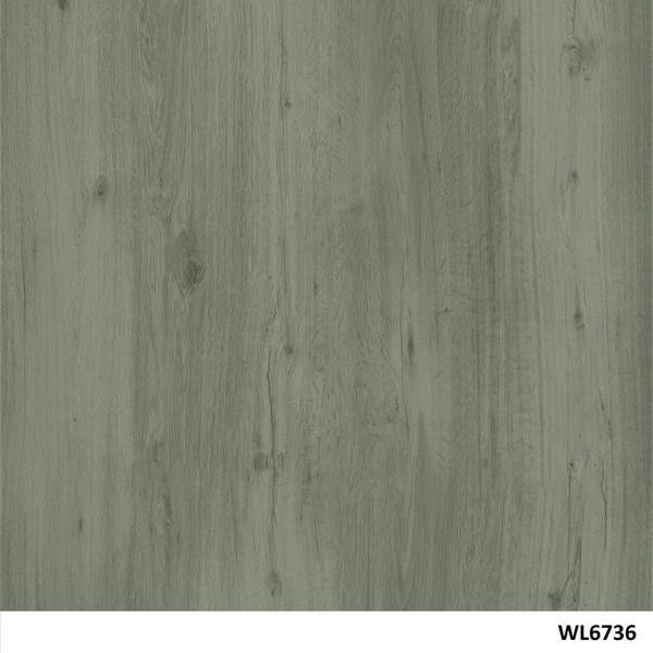 WL6736