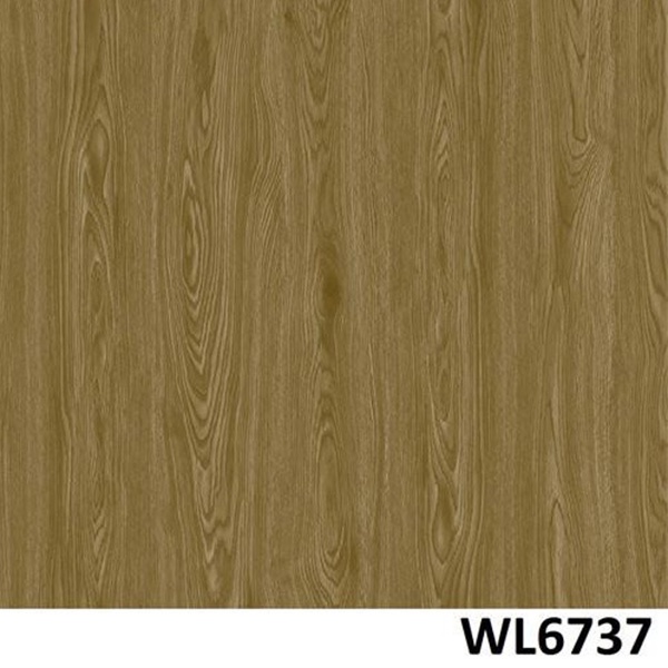 WL6737