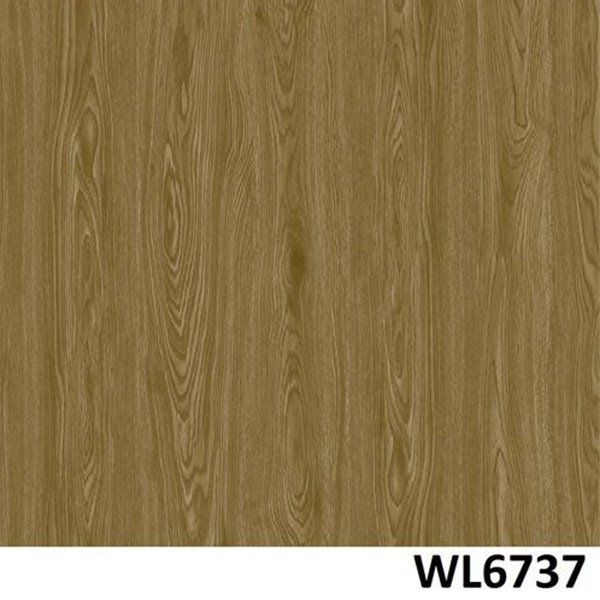 WL6737