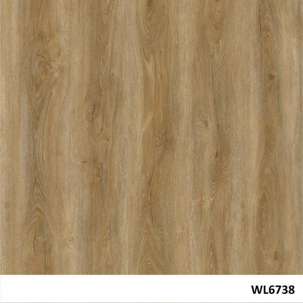 WL6738