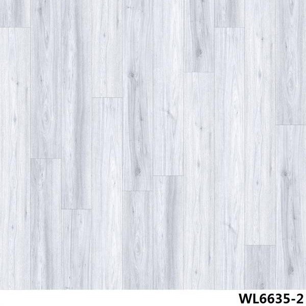 WL6635-2