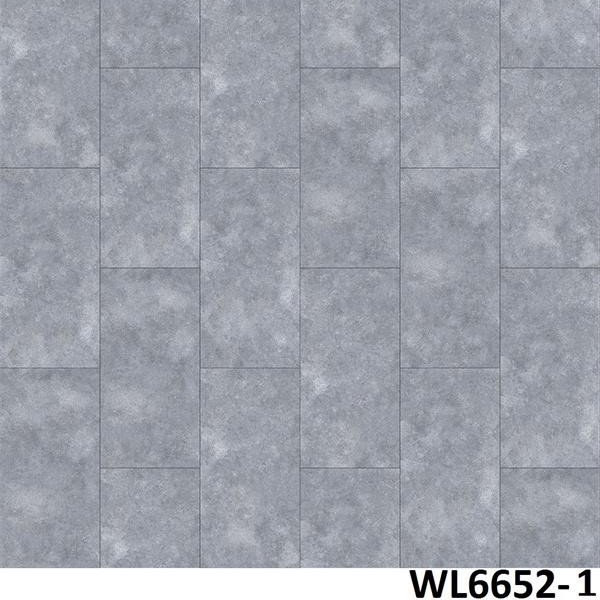 WL6652-1
