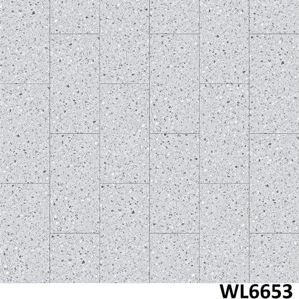 WL6653