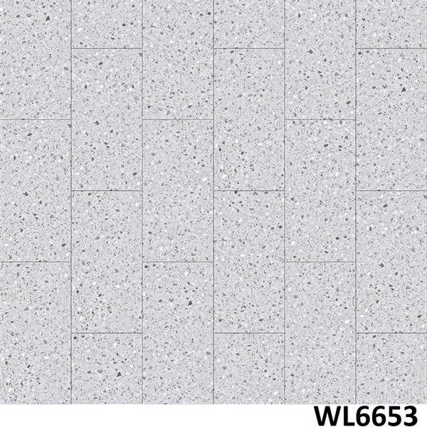 WL6653