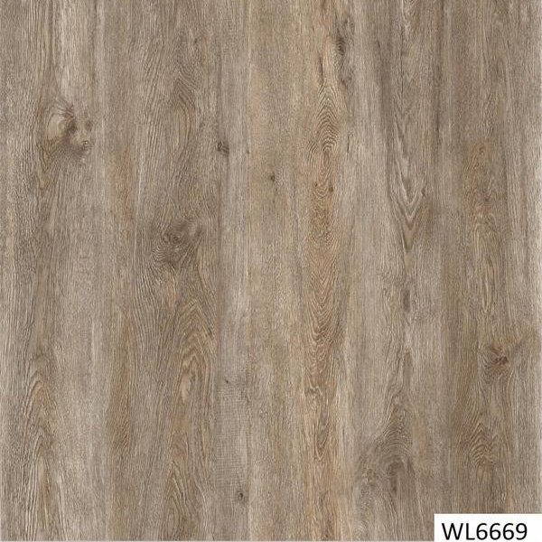 WL6669