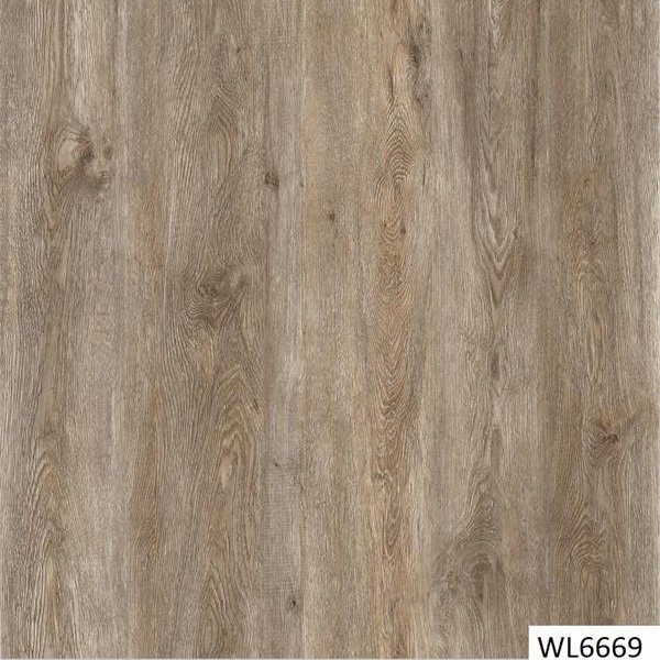 WL6669