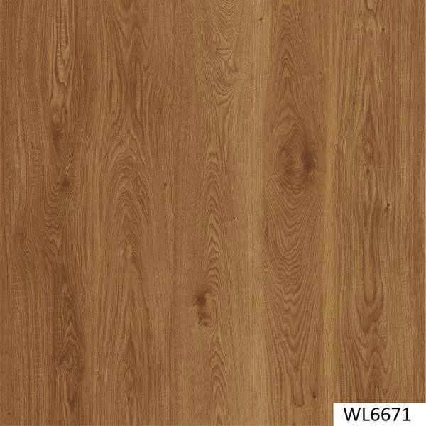 WL6671