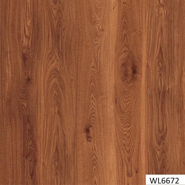 WL6672
