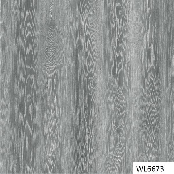 WL6673