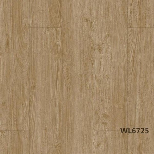 WL6725