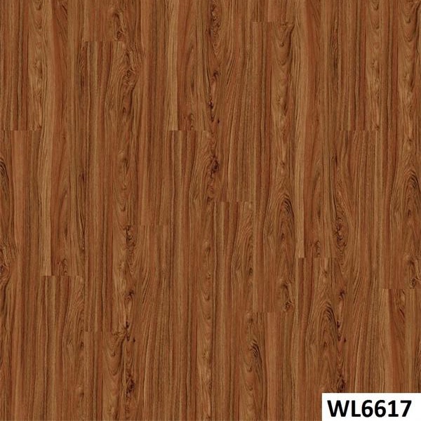 WL6617