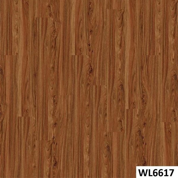 WL6617