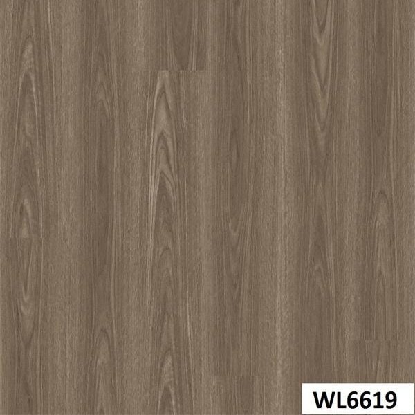 WL6619