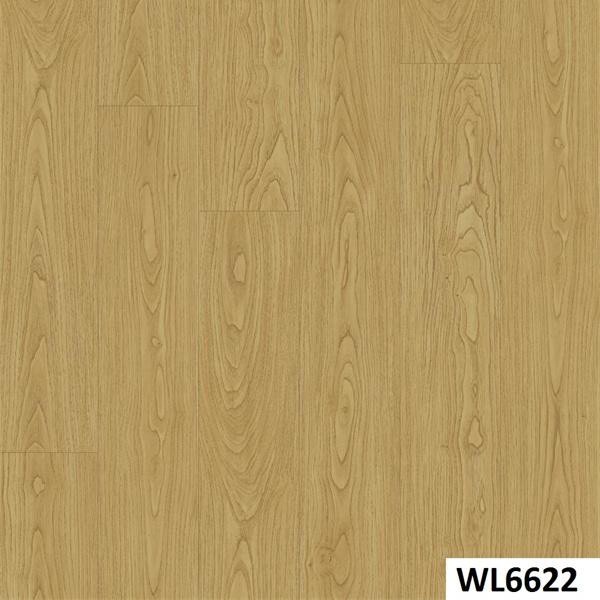 WL6622