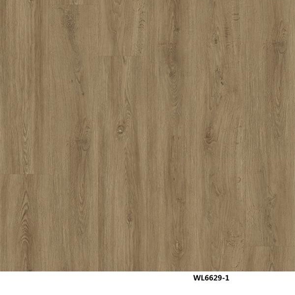 WL6629-1