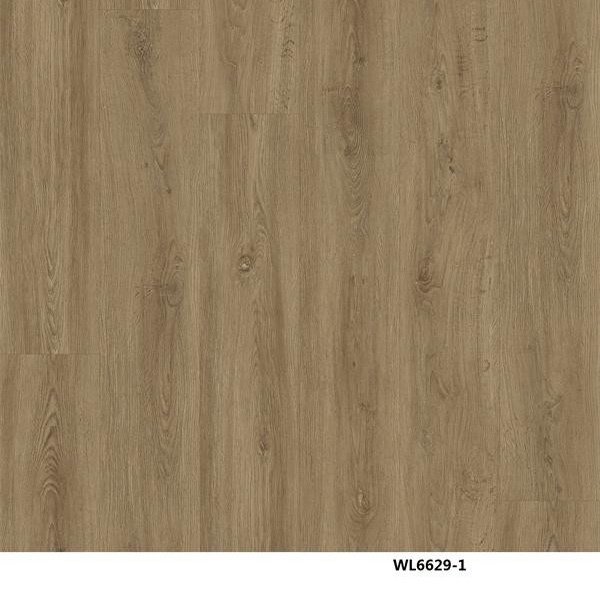 WL6629-1
