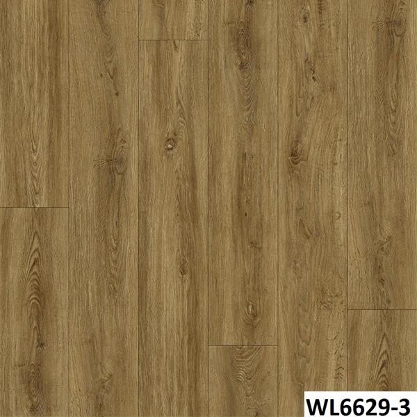 WL6629-3