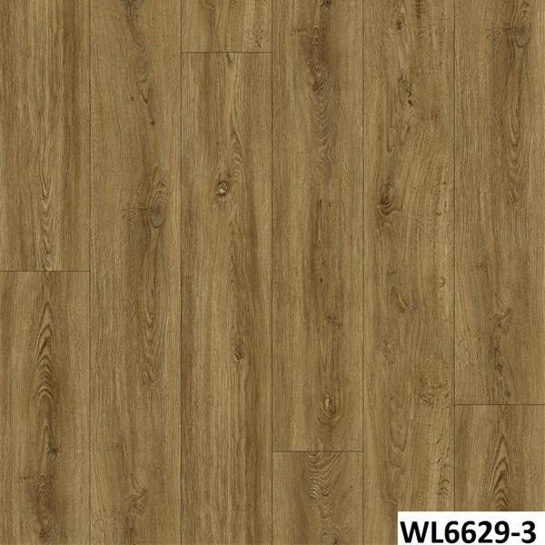 WL6629-3