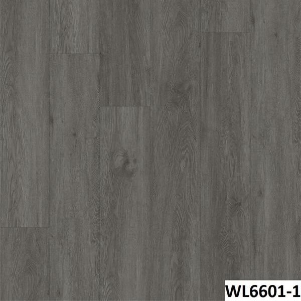 WL6601-1