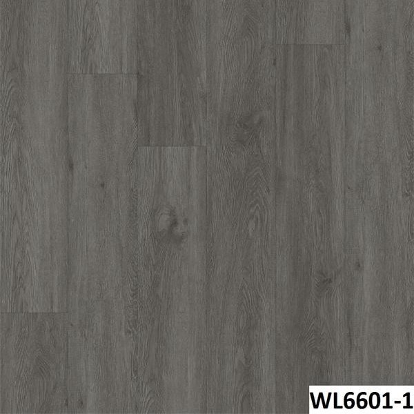 WL6601-1