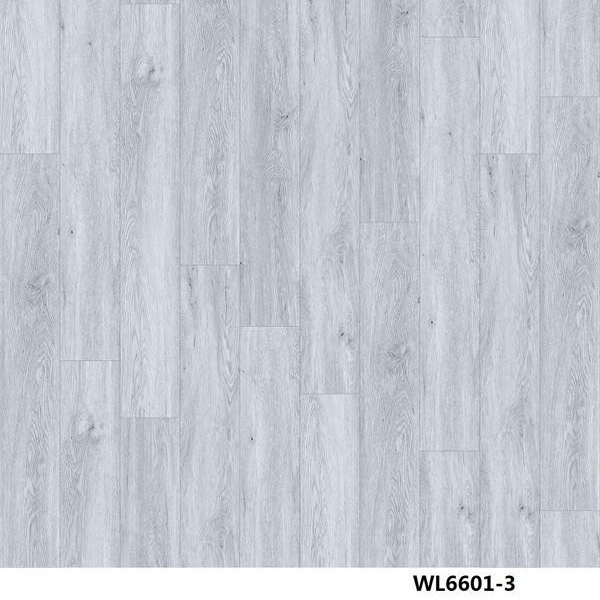 WL6601-3