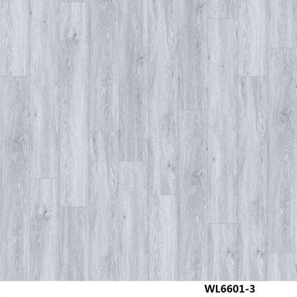 WL6601-3