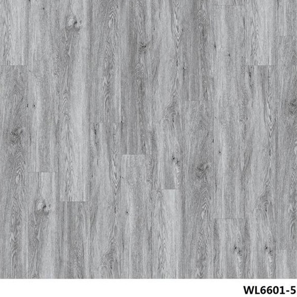WL6601-5