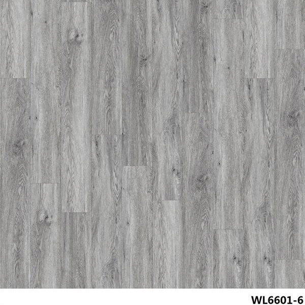 WL6601-6