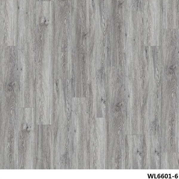 WL6601-6