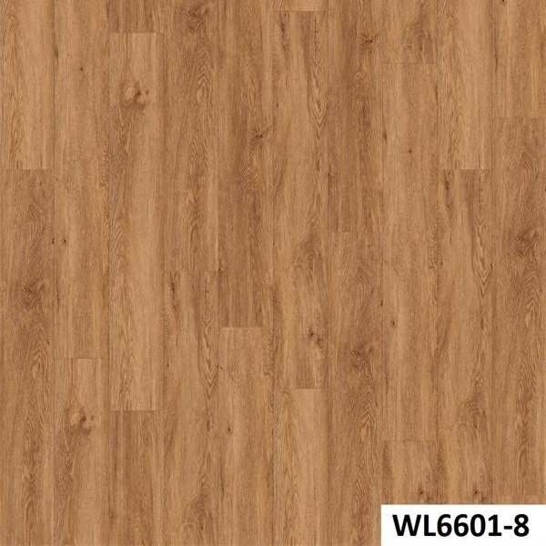 WL6601-8