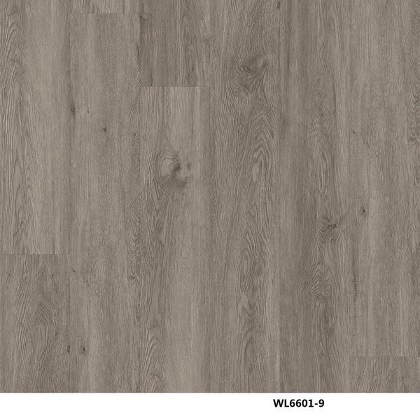 WL6601-9
