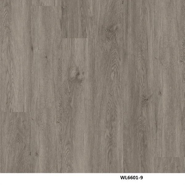WL6601-9