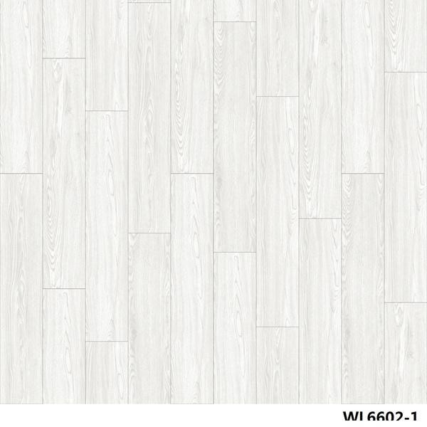WL6602-1