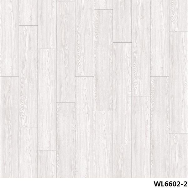 WL6602-2