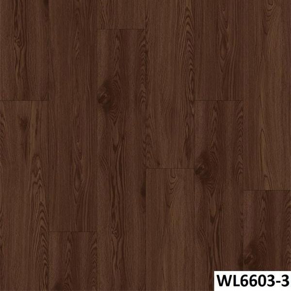 WL6603-3